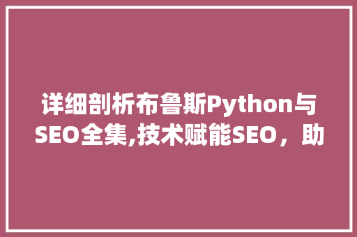 详细剖析布鲁斯Python与SEO全集,技术赋能SEO，助力企业腾飞