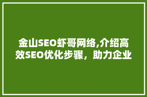 金山SEO虾哥网络,介绍高效SEO优化步骤，助力企业腾飞
