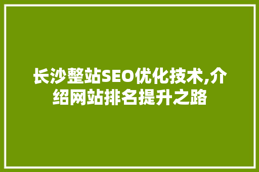 长沙整站SEO优化技术,介绍网站排名提升之路
