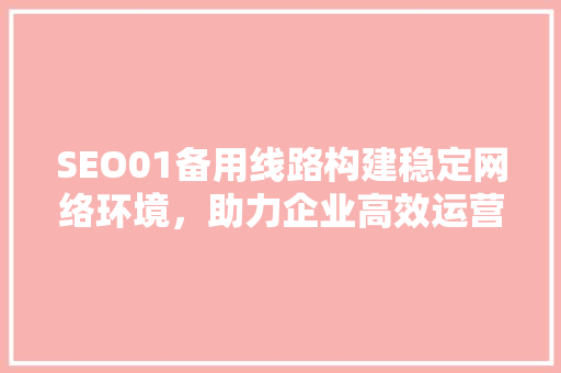 SEO01备用线路构建稳定网络环境，助力企业高效运营