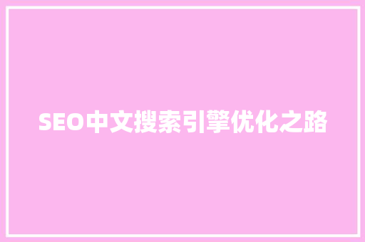 SEO中文搜索引擎优化之路