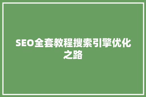 SEO全套教程搜索引擎优化之路