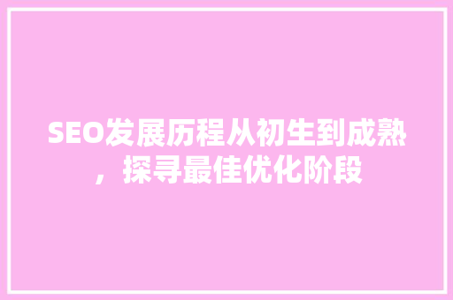 SEO发展历程从初生到成熟，探寻最佳优化阶段