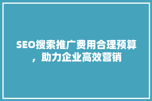 SEO搜索推广费用合理预算，助力企业高效营销