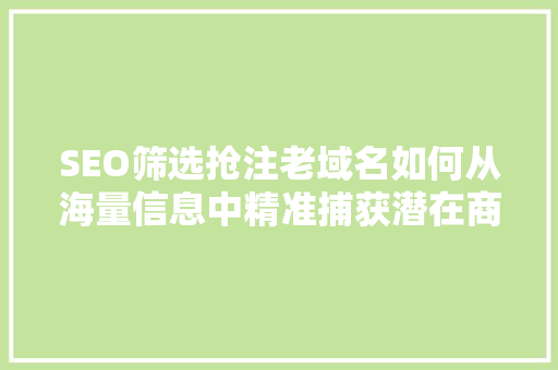 SEO筛选抢注老域名如何从海量信息中精准捕获潜在商机
