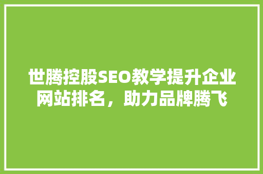 世腾控股SEO教学提升企业网站排名，助力品牌腾飞