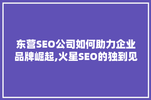 东营SEO公司如何助力企业品牌崛起,火星SEO的独到见解