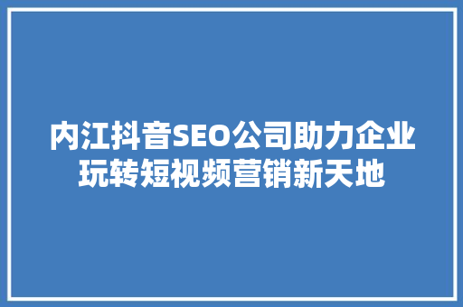 内江抖音SEO公司助力企业玩转短视频营销新天地
