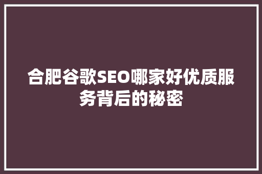合肥谷歌SEO哪家好优质服务背后的秘密