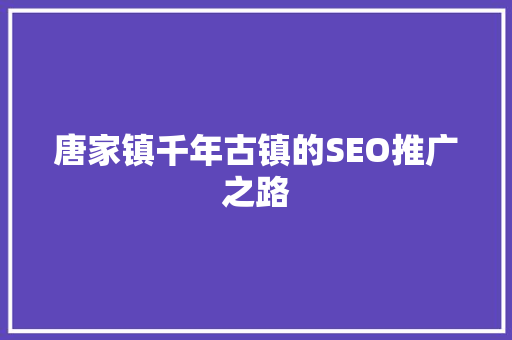 唐家镇千年古镇的SEO推广之路