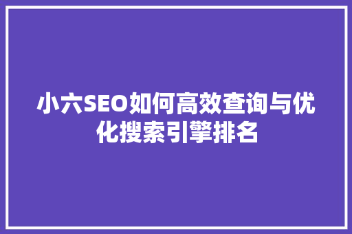小六SEO如何高效查询与优化搜索引擎排名