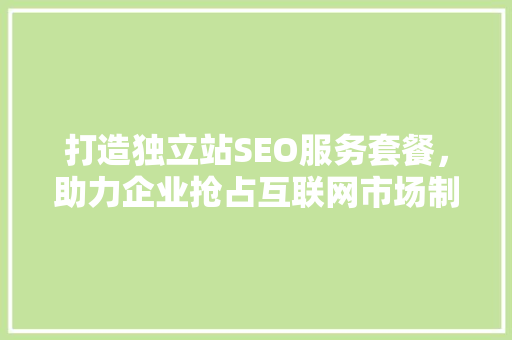 打造独立站SEO服务套餐，助力企业抢占互联网市场制高点