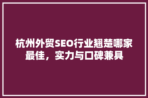 杭州外贸SEO行业翘楚哪家最佳，实力与口碑兼具