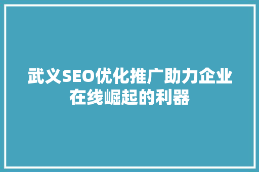武义SEO优化推广助力企业在线崛起的利器