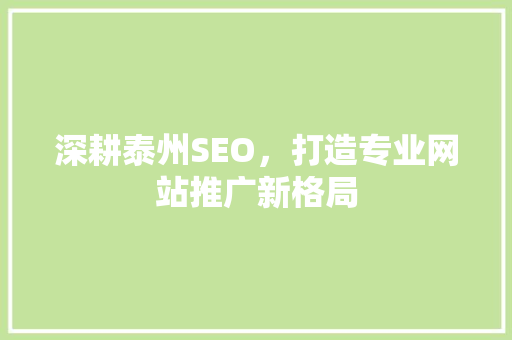 深耕泰州SEO，打造专业网站推广新格局
