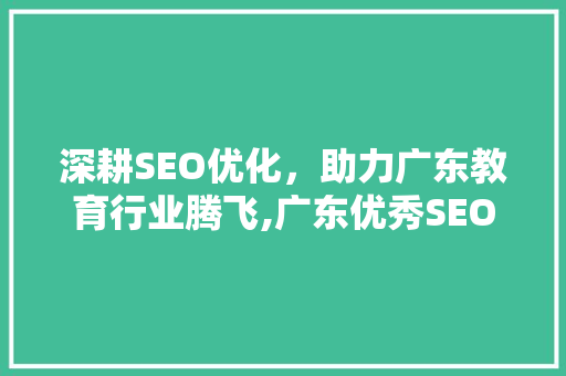 深耕SEO优化，助力广东教育行业腾飞,广东优秀SEO优化公司