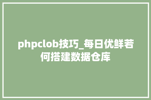 phpclob技巧_每日优鲜若何搭建数据仓库