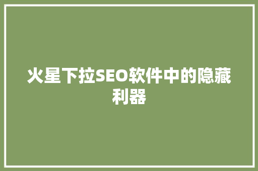 火星下拉SEO软件中的隐藏利器
