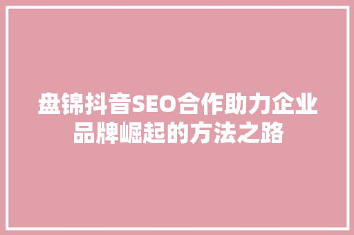盘锦抖音SEO合作助力企业品牌崛起的方法之路