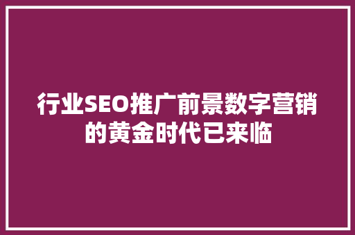 行业SEO推广前景数字营销的黄金时代已来临