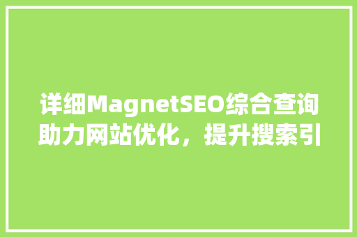 详细MagnetSEO综合查询助力网站优化，提升搜索引擎排名