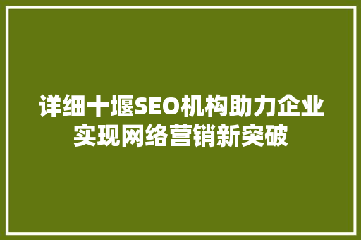 详细十堰SEO机构助力企业实现网络营销新突破