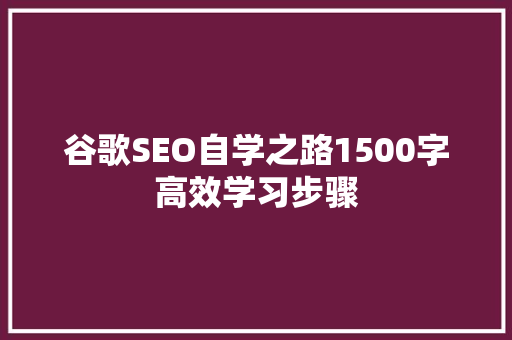 谷歌SEO自学之路1500字高效学习步骤