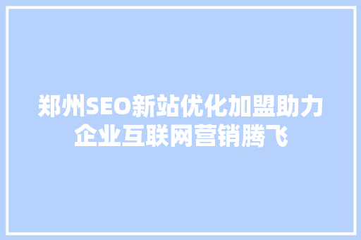 郑州SEO新站优化加盟助力企业互联网营销腾飞