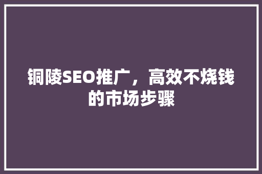 铜陵SEO推广，高效不烧钱的市场步骤