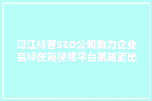 阳江抖音SEO公司助力企业品牌在短视频平台脱颖而出
