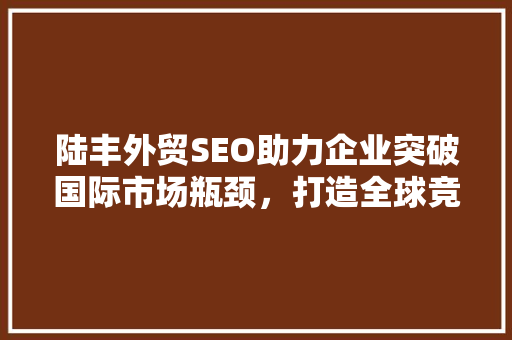 陆丰外贸SEO助力企业突破国际市场瓶颈，打造全球竞争力
