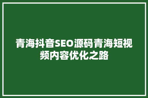 青海抖音SEO源码青海短视频内容优化之路