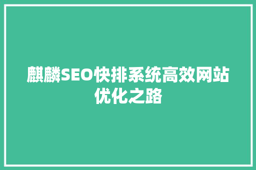 麒麟SEO快排系统高效网站优化之路