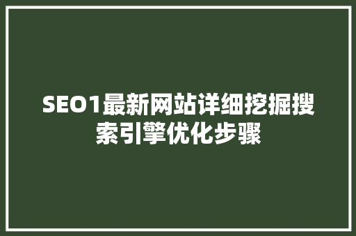 SEO1最新网站详细挖掘搜索引擎优化步骤