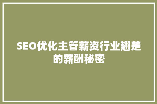 SEO优化主管薪资行业翘楚的薪酬秘密