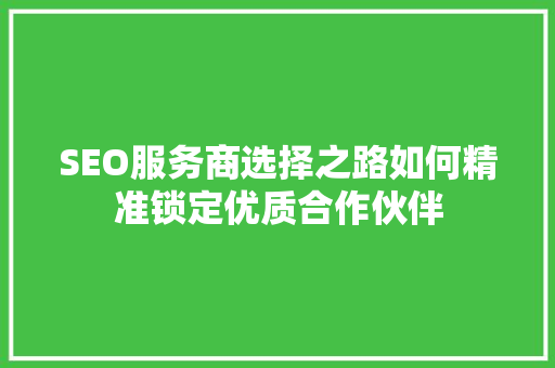 SEO服务商选择之路如何精准锁定优质合作伙伴