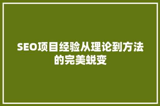 SEO项目经验从理论到方法的完美蜕变