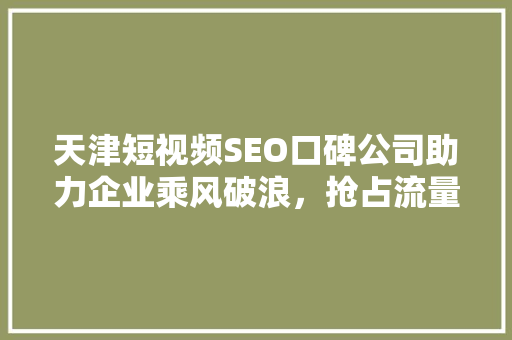 天津短视频SEO口碑公司助力企业乘风破浪，抢占流量高地