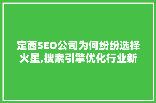 定西SEO公司为何纷纷选择火星,搜索引擎优化行业新趋势