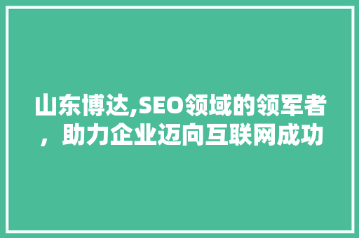 山东博达,SEO领域的领军者，助力企业迈向互联网成功之路
