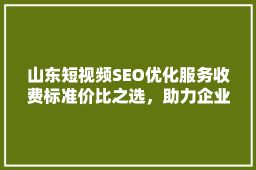 山东短视频SEO优化服务收费标准价比之选，助力企业抢占流量高地