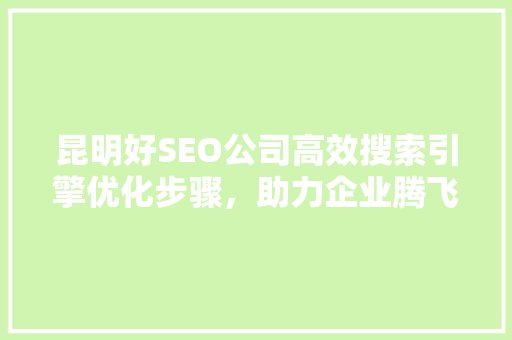 昆明好SEO公司高效搜索引擎优化步骤，助力企业腾飞