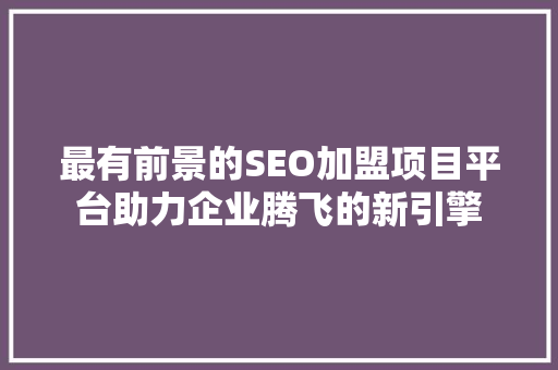 最有前景的SEO加盟项目平台助力企业腾飞的新引擎