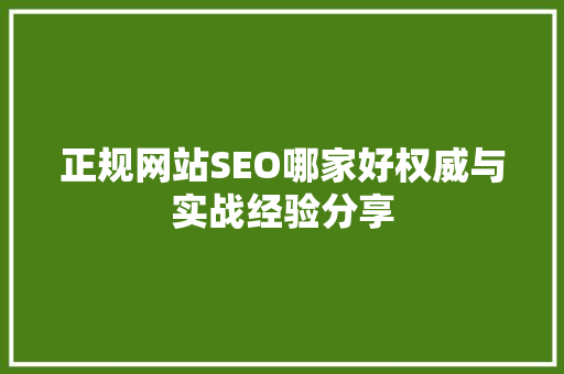正规网站SEO哪家好权威与实战经验分享