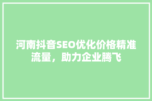 河南抖音SEO优化价格精准流量，助力企业腾飞