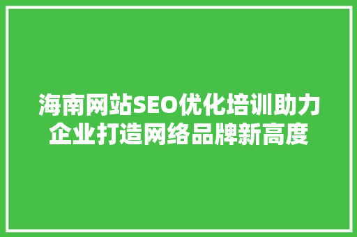海南网站SEO优化培训助力企业打造网络品牌新高度