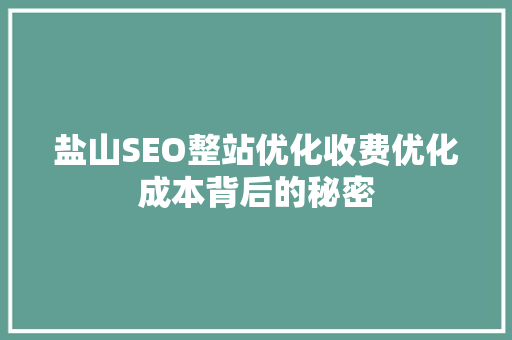 盐山SEO整站优化收费优化成本背后的秘密