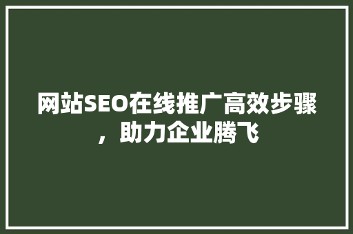 网站SEO在线推广高效步骤，助力企业腾飞