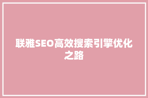 联雅SEO高效搜索引擎优化之路