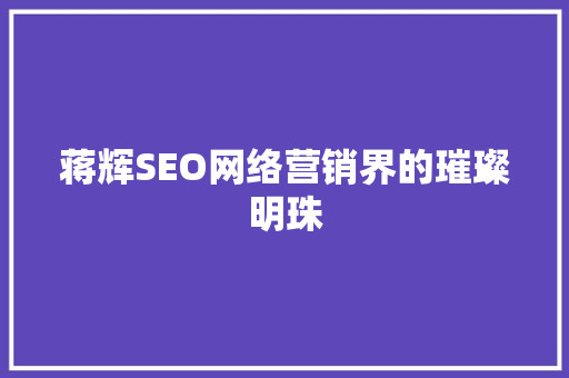 蒋辉SEO网络营销界的璀璨明珠